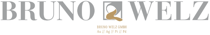 Bruno Welz Logo